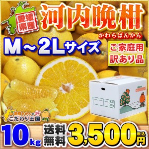 愛媛県愛南町産 河内晩柑 10kg M〜2Lサイズ 家庭用 訳あり