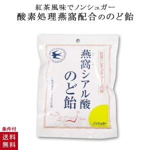 シアル酸のど飴 飴 トキワ漢方製薬 燕の巣 ツバメの巣 ノンシュガー 燕窩シアル酸のど飴 紅茶 レモンティー 風味