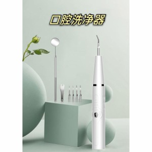 口腔洗浄器 電動歯ブラシ 口腔洗浄機 歯石取り 器具 口腔ケア美容器 超音波 生活級防水 五つのモード LED照明 歯石 黄ばみ 汚れ 歯石