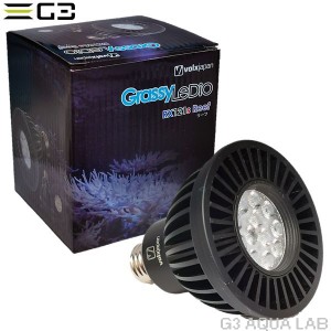  volxjapan GrassyLeDio RX121S ReefiubNjTSpX|bgLEDƖ@{NXWp@ObV[fBI@[t