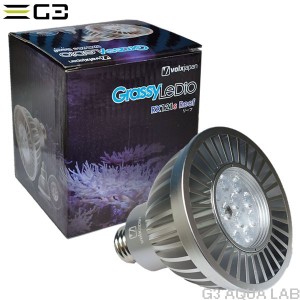  volxjapan GrassyLeDio RX121S ReefiVo[jTSpX|bgLEDƖ@{NXWp@ObV[fBI@[t