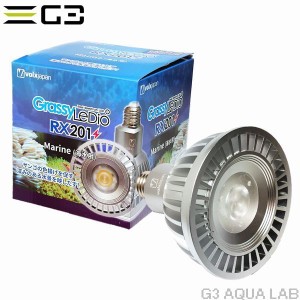  {NXWp Grassy LeDio RX201 Marine/}