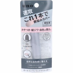 リップ UNO(ウーノ) オールインワンリップクリエイター 2.2g