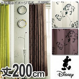 ドレープカーテン　Disney　ディズニー　ミッキー　トウィッグリーフ　100×200cm　スミノエ （ 送料無料 ディズニー 隠れミッキー 遮光 