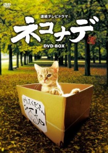 連続テレビドラマ ネコナデ DVD-BOX(4枚組)（中古品）