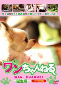 ワンちゃんねる 誕生編 ドラマ完全版 [DVD]（中古品）