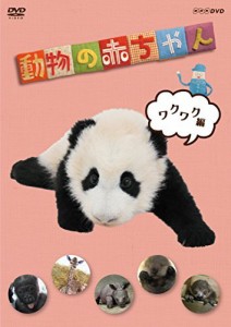 NHKDVD  動物の赤ちゃん  ワクワク編（中古品）