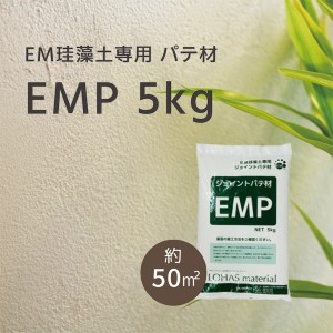 LOHAS material EM珪藻土専用 ジョイント処理材 パテ材 EMP 5kg/袋
