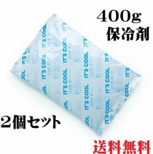 保冷剤 大サイズ I-400 2個セット 400ｇ 大 大きい 蓄冷剤 飲食店 仕出し弁当 クーラーボックス 人気 お弁当 ピクニック 定番 冷やす ひ