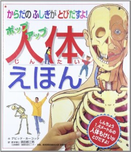 ポップアップ 人体えほん—からだのふしぎがとびだすよ!(中古品)