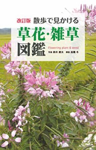 改訂版 散歩で見かける草花・雑草図鑑(中古品)