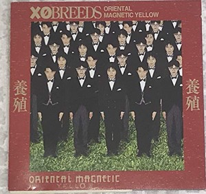 養殖 XOBREEDS(中古品)