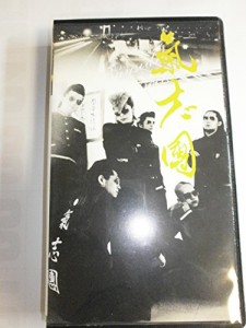 氣志團現象 1 〜さよならの果実たち〜 [VHS] [DVD](中古品)