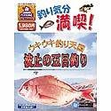 ウキウキ釣り天国 波止の五目釣り(中古品)