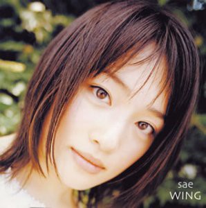 WING(中古品)