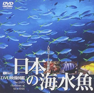 シンフォレストDVD 日本の海水魚 DVD映像図鑑(中古品)