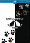 黒猫白猫 [DVD](中古品)