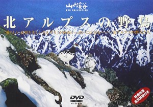 北アルプスの野鳥 [DVD](中古品)