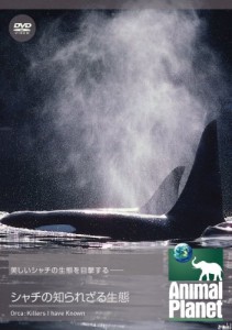 アニマル・プラネット シャチの知られざる生態 [DVD](中古品)