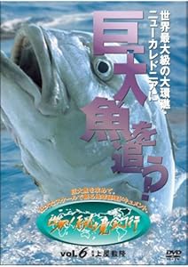 【中古】 日本再生の切り札ができた！ 科学を否定しても３メートルの巨大魚は水槽を泳ぐ/碧天舎/坂本隆司 中古】 日本再生の切り札ができた！ 科学を否定しても3メートル