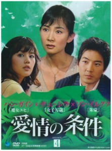 愛情の条件 DVD-BOX4(中古品)