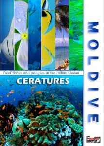 MOLDIVE THE CREATURES インド洋の真珠 モルジブ/クリューチュアーズ [DVD](中古品)