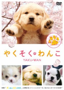 やくそくわんこ [DVD](中古品)