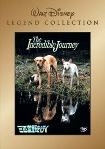 三匹荒野を行く [DVD](中古品)