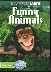 Funny Animals [DVD](中古品)