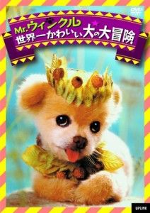 Mr.ウィンクル 世界一かわいい犬の大冒険 [DVD](中古品)