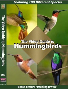 Video Guide to Hummingbirds [DVD](中古品)