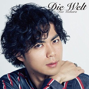 Die Welt(中古品)