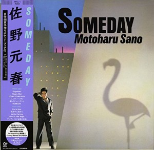 SOMEDAY(完全生産限定盤) [Analog](中古品)