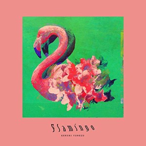 Flamingo / TEENAGE RIOT(フラミンゴ盤 初回限定)(DVD付)(中古品)