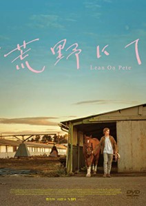 荒野にて [DVD](中古品)