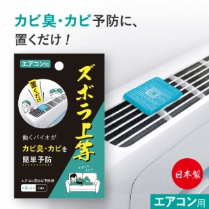 エアコン掃除グッズ エアコン 掃除 グッズ カビ エアコンカビ防止 カビ 予防 防止 対策 汚れ 簡単 便利 置くだけ ズボラ上等 エアコン用 