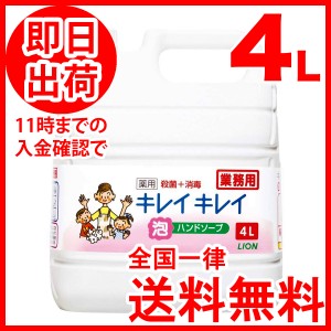 キレイキレイ 泡 詰め替え 4リットル 薬用 泡ハンドソープ シトラスフルーティ の香り 詰替え 詰替 詰め替え用 業務用 大型 殺菌＋消毒 