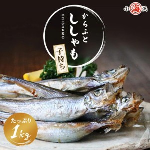 ししゃも 子持ち からふとししゃも 1kg(500g×2パック) アイスランド産 卵率15%以上