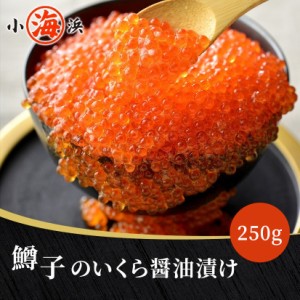 いくら イクラ 鱒 ますこ醤油漬 250g 約2〜3人前