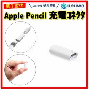 Apple Pencil 充電コネクタ 第1世代 Lightningアダプタ メス メス アップルペンシル 充電 変換 ライトニング 交換 互換 代替 シンプル 充