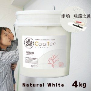 【送料無料】西洋 漆喰【Coral Tex コーラルテックス】塗り壁 ナチュラルホワイト 4kg