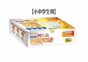 5000043-sh 【在庫限り】サージカルマスク　小中学生用　30枚入り