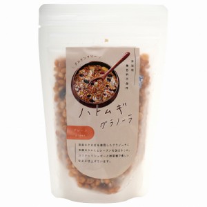 4161833-sk ハトムギグラノーラ（プレーン） 80g【太陽食品】