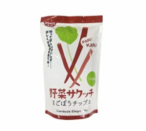 1011314-kfmsos なちゅらる野菜サクッチ　国産ごぼうチップス30g【イー・有機生活】