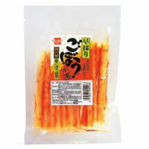 1006200-kf 早採りごぼう80g【健康フーズ】【1〜2個はメール便300円】