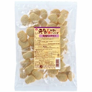 1094098-kf  【取り寄せ商品】元気1番お菓子シリーズ　恐竜ものがたり 140gx10個セット【サンコー】