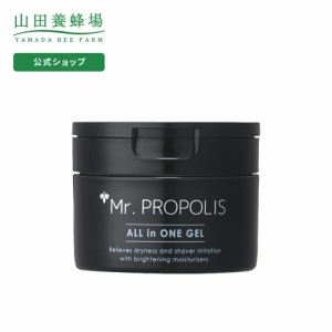 山田養蜂場 Mr.PROPOLIS オールインワンジェル ＜80g＞ ミスタープロポリス メンズスキンケア 男性化粧品 ミスター メンズ コスメ ローシ