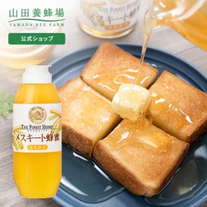 【山田養蜂場】 メスキート蜂蜜(メキシコ産)  ＜500gプラ＞ グリホサート検査済 はちみつ 食べ物 食品 健康 　　男性 女性 父 母 夫 妻 