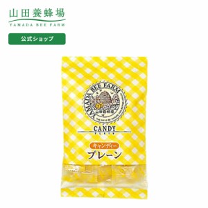 山田養蜂場 ハニーキャンディープレーン 100g入（24-26粒）  ギフト プレゼント 食べ物 食品 はちみつ 健康 人気 お取り寄せグルメ 高級 