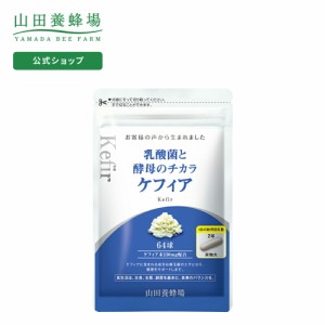 山田養蜂場 乳酸菌と酵母のチカラ　ケフィア 64球 袋入  ギフト プレゼント サプリメント サプリ 健康食品 乳酸菌 酵母 健康 人気 父の日